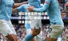 欧亿体育官网-哈兰德带刀破门，挪威队晋级跻身强强