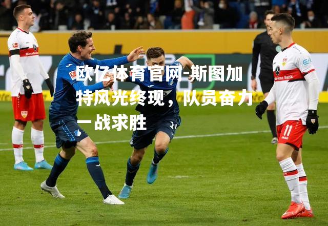 斯图加特风光终现，队员奋力一战求胜