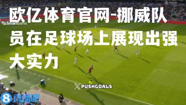 挪威队员在足球场上展现出强大实力