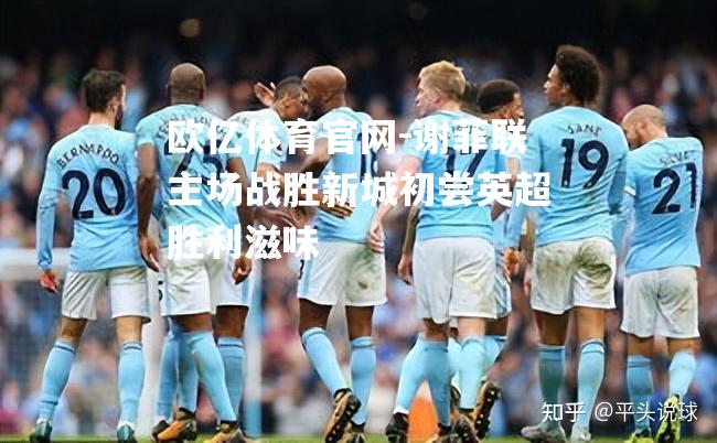 谢菲联主场战胜新城初尝英超胜利滋味