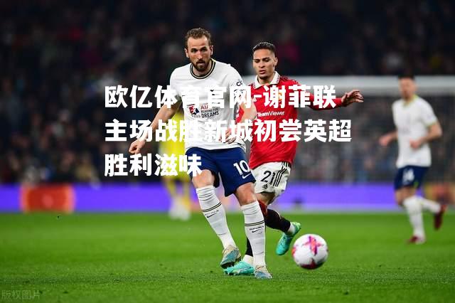 谢菲联主场战胜新城初尝英超胜利滋味