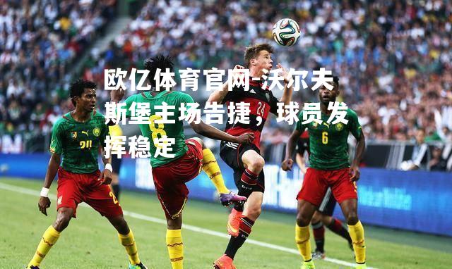 沃尔夫斯堡主场告捷，球员发挥稳定