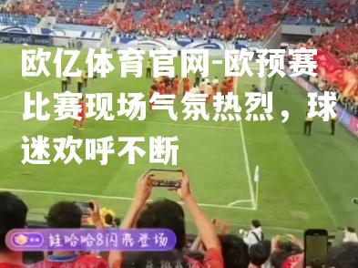 欧预赛比赛现场气氛热烈，球迷欢呼不断